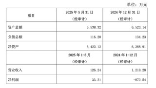 51亿买公司捆绑69亿负债，佛塑科技“蛇吞象”并购是赚是亏？