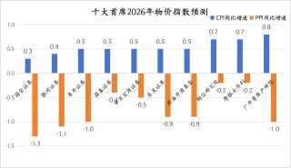 十大首席看2026中国经济