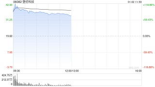 壁仞科技首挂上市 早盘上涨116.53%