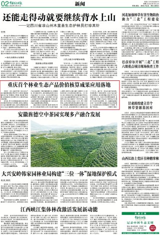 重庆首个林业生态产品价值核算成果应用落地