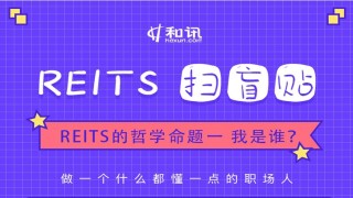 如何理解股票派息相关知识并做出投资判断？做出股票派息投资判断的依据是什么？