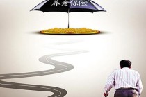 如何缴纳新型农村养老保险并实现养老保障？新型农村养老保险的缴费标准有哪些变化？