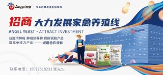 新希望发布告知函：所售商品猪只开屠宰票，不得流入二次育肥！丨牧原股份：进入国际资本市场比融资更重要