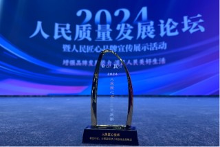奇富科技荣膺人民网“人民匠心技术”：大模型驱动小微金融创新