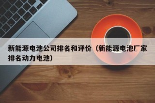 新能源电池公司排名和评价（新能源电池厂家排名动力电池）