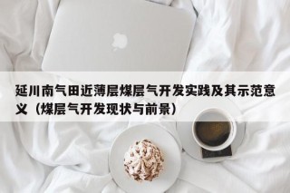 延川南气田近薄层煤层气开发实践及其示范意义（煤层气开发现状与前景）