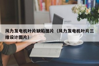 风力发电机叶片缺陷图片（风力发电机叶片三维设计图片）