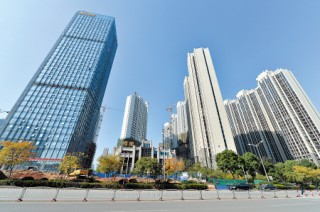 如何查询公积金账号？这种查询方法如何确保信息的准确性？