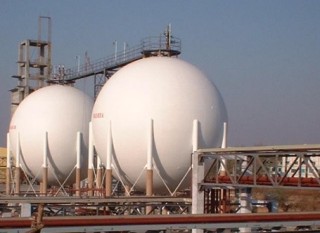 如何评估石化油的品质与适用性？不同车型对石化油有何不同要求？