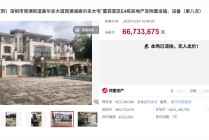 2亿元别墅降价66%卖没人要，已流拍8次，2只名表超5000万元成交！背后老板张伟涉黑被判无期，深圳原政法委书记李华楠是他保护伞