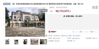 2亿元别墅降价66%卖没人要，已流拍8次，2只名表超5000万元成交！背后老板张伟涉黑被判无期，深圳原政法委书记李华楠是他保护伞