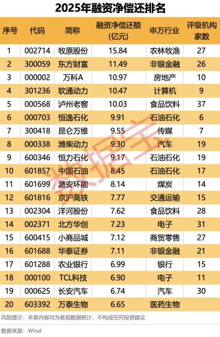 2025年A股“燃爆了”！创近6年最大涨幅，540股股价翻倍！融资客年度“采购清单”出炉