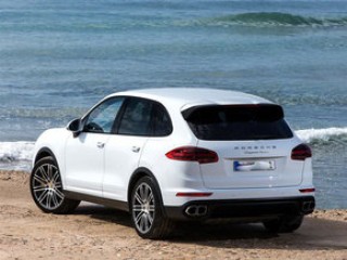 如何在金融危机时做出投资决策？不同决策有何影响？