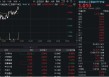 AI“算力+应用”活跃，159363逆市冲高1%，中际旭创涨超4%！机构：算力具备底层需求与估值支撑