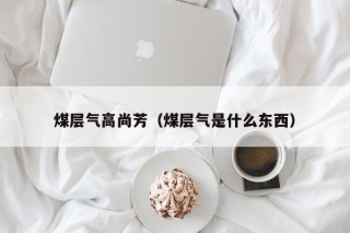 煤层气高尚芳（煤层气是什么东西）