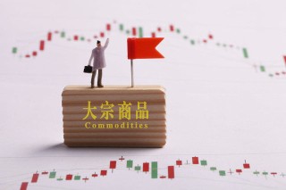 期货交易中的T+0制度有何特点？