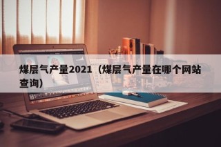 煤层气产量2021（煤层气产量在哪个网站查询）