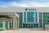 宜宾纸业股价两月内涨超150％，第二大股东趁机减持