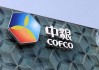 中粮地产的业务范围是什么？其在市场中的竞争优势有哪些？