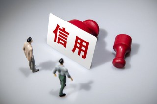 征信报告中的公共信息都包括什么？