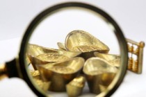 如何把握黄金投资的专业知识？这些知识在实际操作中有哪些应用？