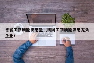 各省生物质能发电量（我国生物质能发电龙头企业）