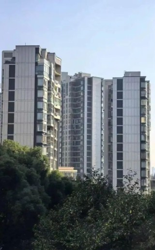 开发商只管挖坑不管埋，南京神盘业主竟自筹4000万“整容”