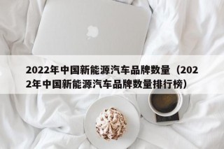 2022年中国新能源汽车品牌数量（2022年中国新能源汽车品牌数量排行榜）