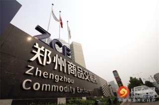 如何正确看待郑州金燕小学的发展？其发展的关键因素是什么？