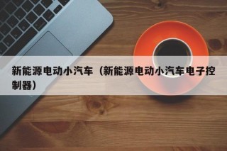 新能源电动小汽车（新能源电动小汽车电子控制器）