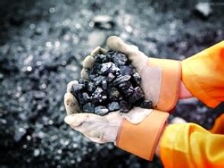 煤炭种类的区分标准是什么？这种标准如何影响市场需求？
