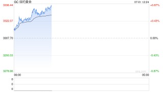 光大期货贵金属半年报：黄金滞涨 白银补涨