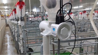 科技驱动全球布局！新希望海外饲料剑指400万吨新增量，锻造“第三增长极”