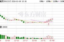 海安集团：预计2027年全球全钢巨胎的产量将达到35.8万条