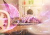 如何选择合适的股票进行申购？这些股票的选择标准是什么？
