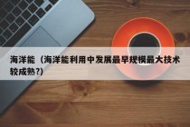 海洋能（海洋能利用中发展最早规模最大技术较成熟?）