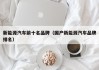 新能源汽车前十名品牌（国产新能源汽车品牌排名）