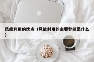 风能利用的优点（风能利用的主要弊端是什么）