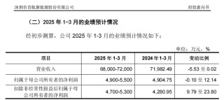 宁王、特斯拉“小伙伴”，来了