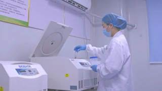 科技驱动全球布局！新希望海外饲料剑指400万吨新增量，锻造“第三增长极”