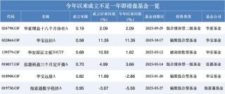 南方碳中和A今年涨71%也清盘？年内超280只产品离场，业绩好坏均难逃规模“生死线”