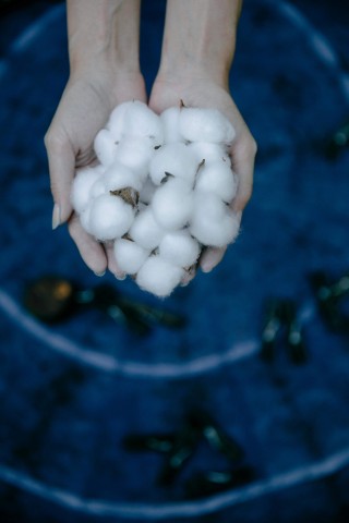 醇的价格是多少？甲醇价格的波动原因是什么？