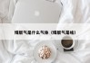 煤层气是什么气体（煤层气是啥）