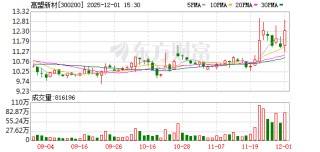高盟新材：年产4.6万吨电子新能源胶粘剂项目正进行局部整改和收尾