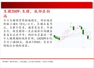 中天期货:原油承压回落 玻璃重心继续下行