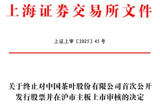 又有公司IPO终止
