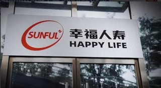 幸福人寿的转型：产品瘦身与偿付能力挑战