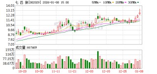 七匹狼：本公司及控股子公司无逾期对外担保情况