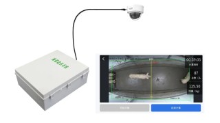 科技驱动全球布局！新希望海外饲料剑指400万吨新增量，锻造“第三增长极”