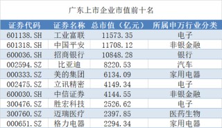 最强牛股暴涨超600%，A股广东军团86股年内翻倍